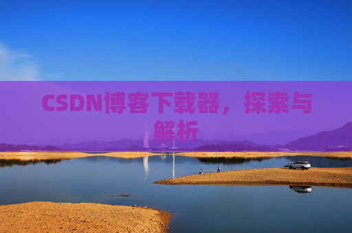 CSDN博客下载器，探索与解析
